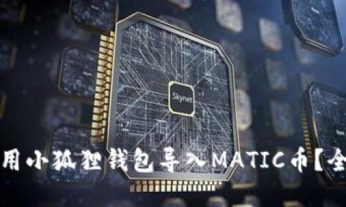 如何使用小狐狸钱包导入MATIC币？全面指南