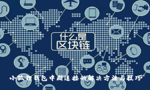 小狐狸钱包中断连接的解决方法与技巧