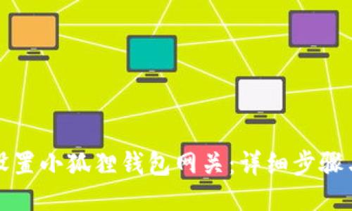 如何设置小狐狸钱包网关：详细步骤与指南
