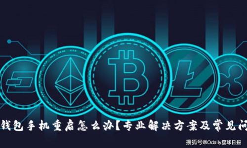 小狐狸钱包手机重启怎么办？专业解决方案及常见问题解析