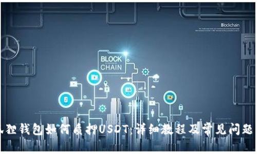 小狐狸钱包如何质押USDT:详细教程及常见问题解答