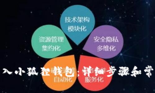如何将钱导入小狐狸钱包：详细步骤和常见问题解答