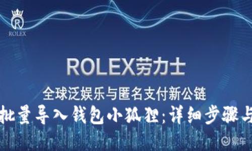 如何批量导入钱包小狐狸：详细步骤与技巧
