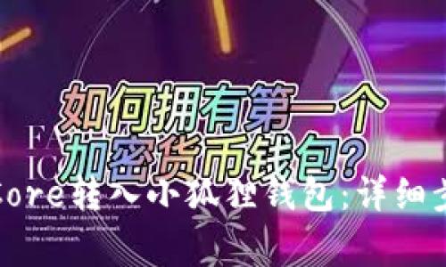 如何将中本聪Core转入小狐狸钱包：详细步骤与注意事项