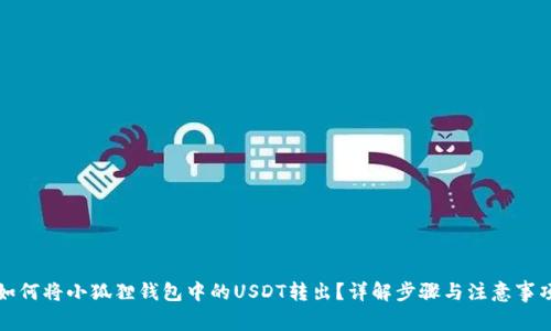 如何将小狐狸钱包中的USDT转出?详解步骤与注意事项