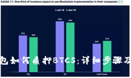 小狐狸钱包如何质押BTCS：详细步骤及注意事项