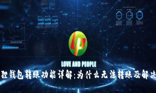 小狐狸钱包转账功能详解:为什么无法转账及解决方法