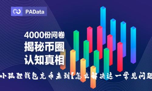 小狐狸钱包充币未到?怎么解决这一常见问题