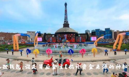 小狐狸钱包：谁是背后金主？揭开资金来源的神秘面纱