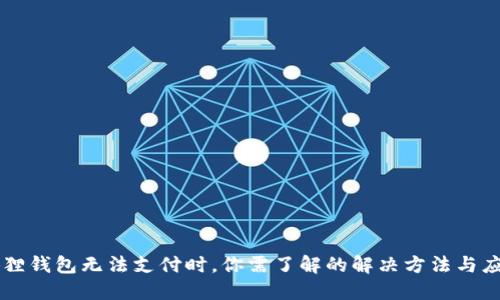 当小狐狸钱包无法支付时，你需了解的解决方法与应对技巧