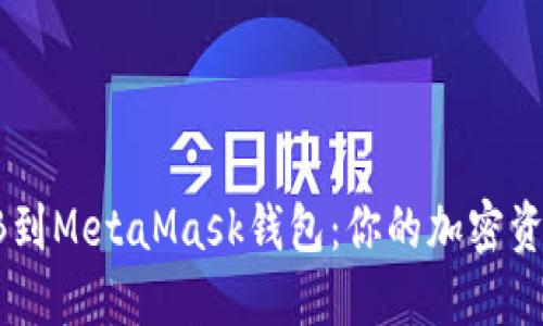 轻松添加SHIB到MetaMask钱包：你的加密资产管理新选择