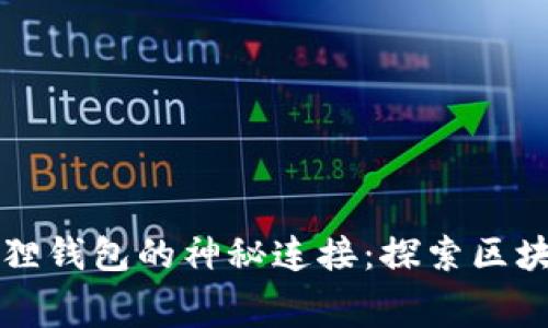 中本聪与小狐狸钱包的神秘连接：探索区块链的幕后故事