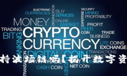 小狐狸钱包支持波场链吗？揭开数字资产的神秘面纱