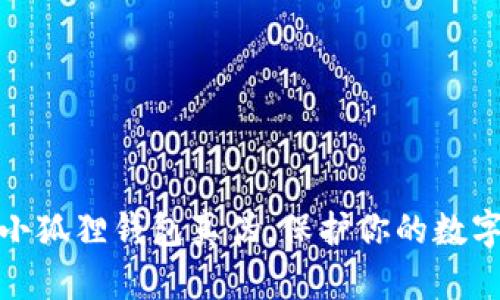 轻松辨别小狐狸钱包真伪，保护你的数字资产安全