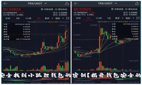 如何安全找到小狐狸钱包的密钥？揭开钱包安全的秘密！