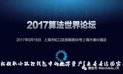 如何轻松提取小狐狸钱包中的数字资产？来看看这些实用技巧！