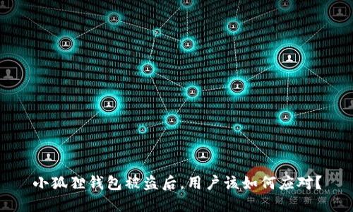 小狐狸钱包被盗后，用户该如何应对？