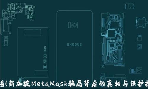 
警惕！新加坡MetaMask骗局背后的真相与保护技巧