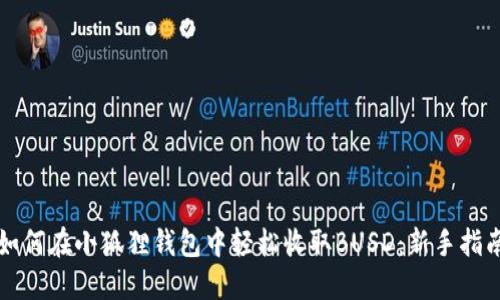 如何在小狐狸钱包中轻松收取BUSD：新手指南