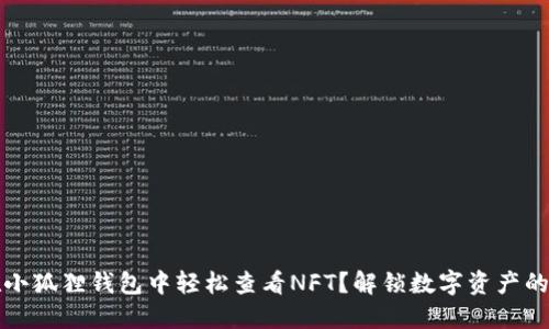 如何在小狐狸钱包中轻松查看NFT？解锁数字资产的新视界