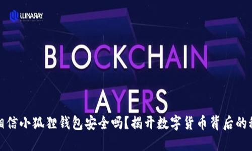 你相信小狐狸钱包安全吗？揭开数字货币背后的秘密