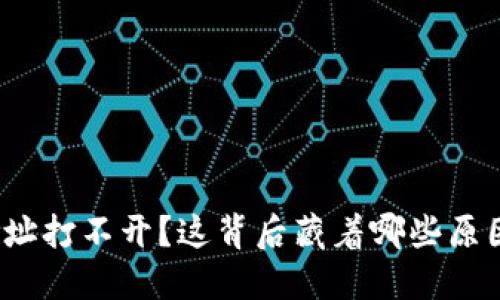 小狐狸钱包网址打不开？这背后藏着哪些原因和解决办法？