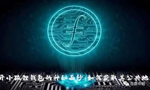 揭开小狐狸钱包的神秘面纱：如何获取其公共地址？