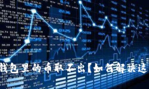 小狐狸钱包里的币取不出？如何解决这个烦恼！