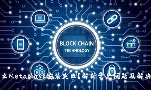 为什么MetaMask安装失败？解析常见问题及解决方案