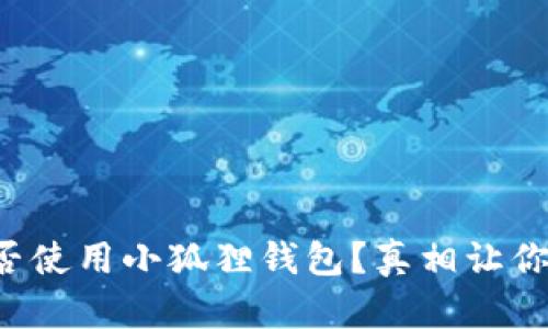 iPad上能否使用小狐狸钱包？真相让你意想不到！