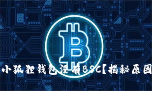 为什么你的小狐狸钱包没有BSC？揭秘原因和解决方案
