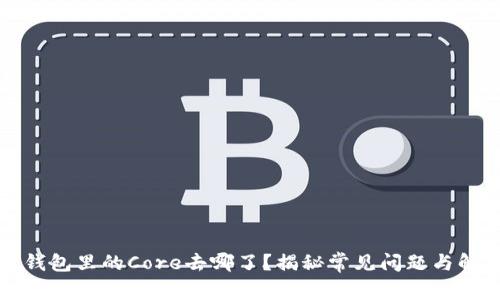 小狐狸钱包里的Core去哪了？揭秘常见问题与解决方案