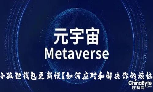 小狐狸钱包更新慢？如何应对和解决你的烦恼！