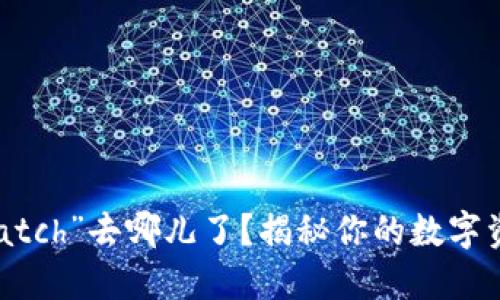 小狐狸钱包里的“watch”去哪儿了？揭秘你的数字资产遭遇的那些秘密