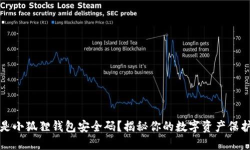 什么是小狐狸钱包安全码？揭秘你的数字资产保护秘诀