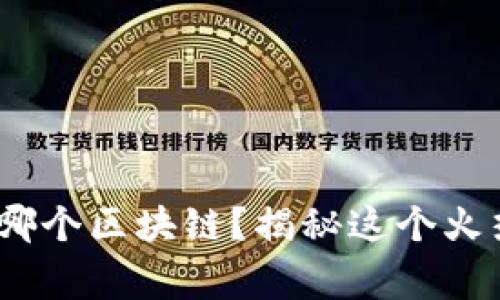 小狐狸钱包，它究竟属于哪个区块链？揭秘这个火热的加密钱包背后的故事