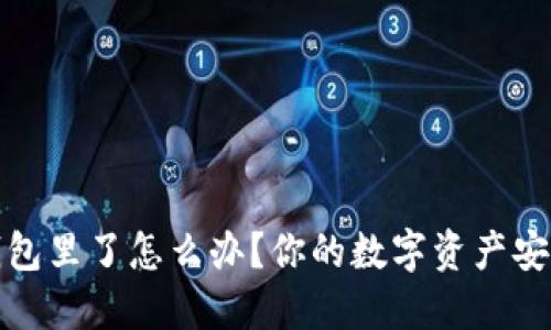 小狐狸钱包到钱包里了怎么办？你的数字资产安全问题解决攻略