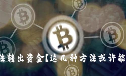 小狐狸钱包无法转出资金？这几种方法或许能帮你解决困扰！