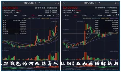 你的小狐狸钱包为何无法导入私钥？五大原因解析与解决方案