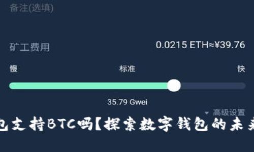 小狐狸钱包支持BTC吗？探索数字钱包的未来与可能性