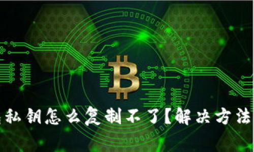 小狐狸钱包私钥怎么复制不了？解决方法与注意事项
