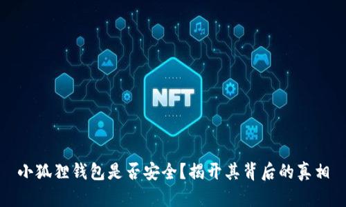 小狐狸钱包是否安全？揭开其背后的真相