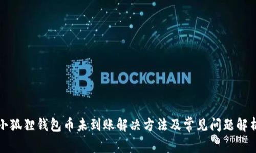 小狐狸钱包币未到账解决方法及常见问题解析