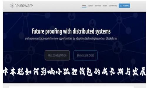 中本聪如何影响小狐狸钱包的成长期与发展