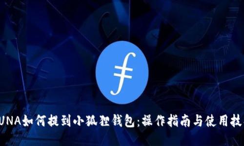 LUNA如何提到小狐狸钱包：操作指南与使用技巧