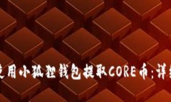 如何使用小狐狸钱包提取