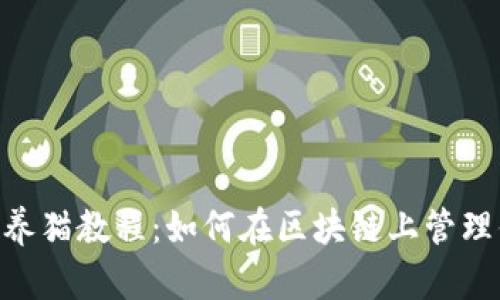 MetaMask养猫教程：如何在区块链上管理你的数字猫