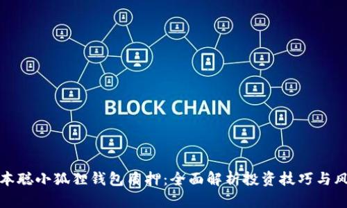 中本聪小狐狸钱包质押：全面解析投资技巧与风险