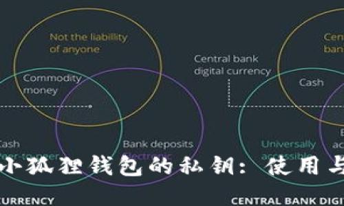 如何查看小狐狸钱包的私钥: 使用与安全指南