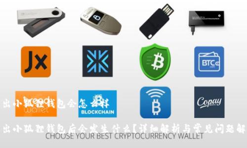 退出小狐狸钱包会怎么样

退出小狐狸钱包后会发生什么？详细解析与常见问题解答